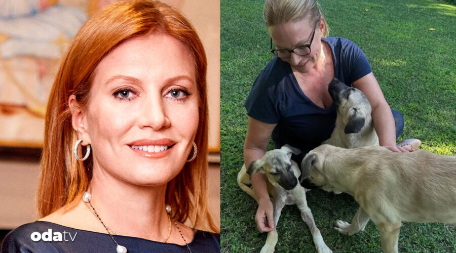 Caroline Koç’un ‘Mucize’si: Şiddet mağduru köpeği sahiplendi