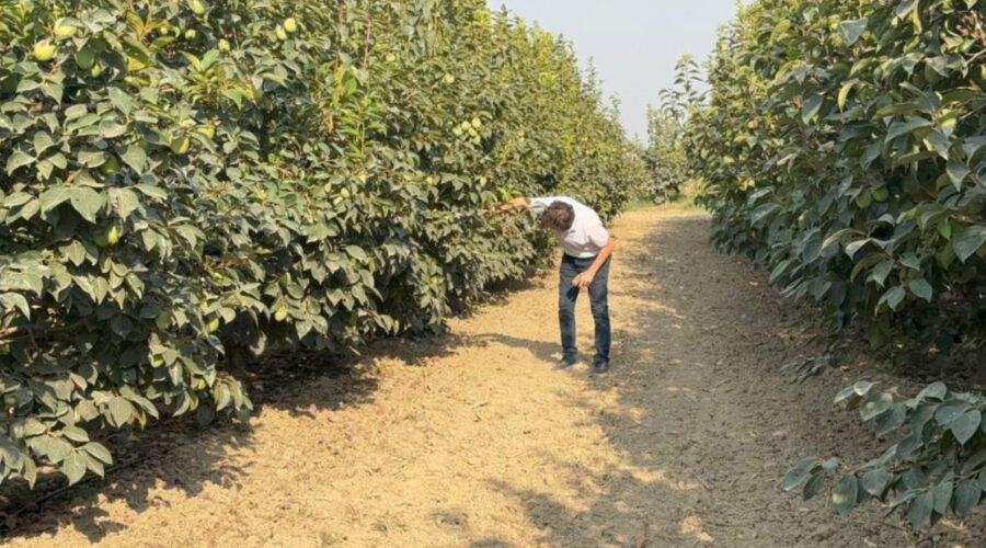 Cennet hurmasında büyük tehlike! Kritik uyarı yapıldı