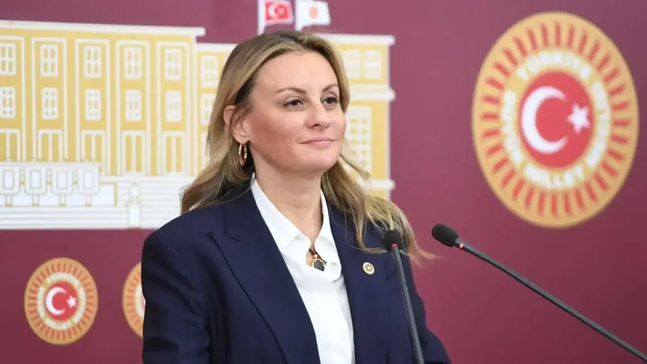 CHP’li Ösen’den hükümete kanserojen ürün denetimi tepkisi: ‘Sayın Bolat bir yaptırımdan bahsetmemiş’