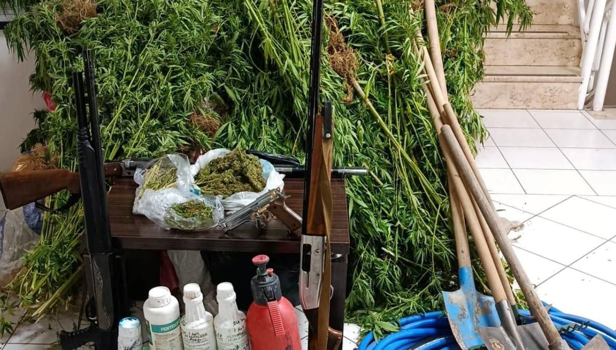 Ormanlık alanda Hint keneviri yetiştirdi, yakalandı