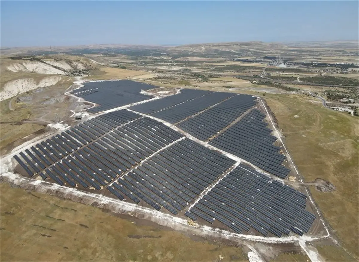 Şanlıurfa’da Çizgili Sırtlan Güvenlik Kamerasında Görüntülendi
