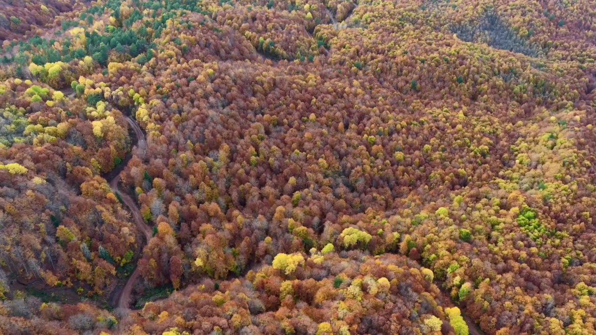 bolu mengende sonbahar guzelligi eRaADEI1.jpg