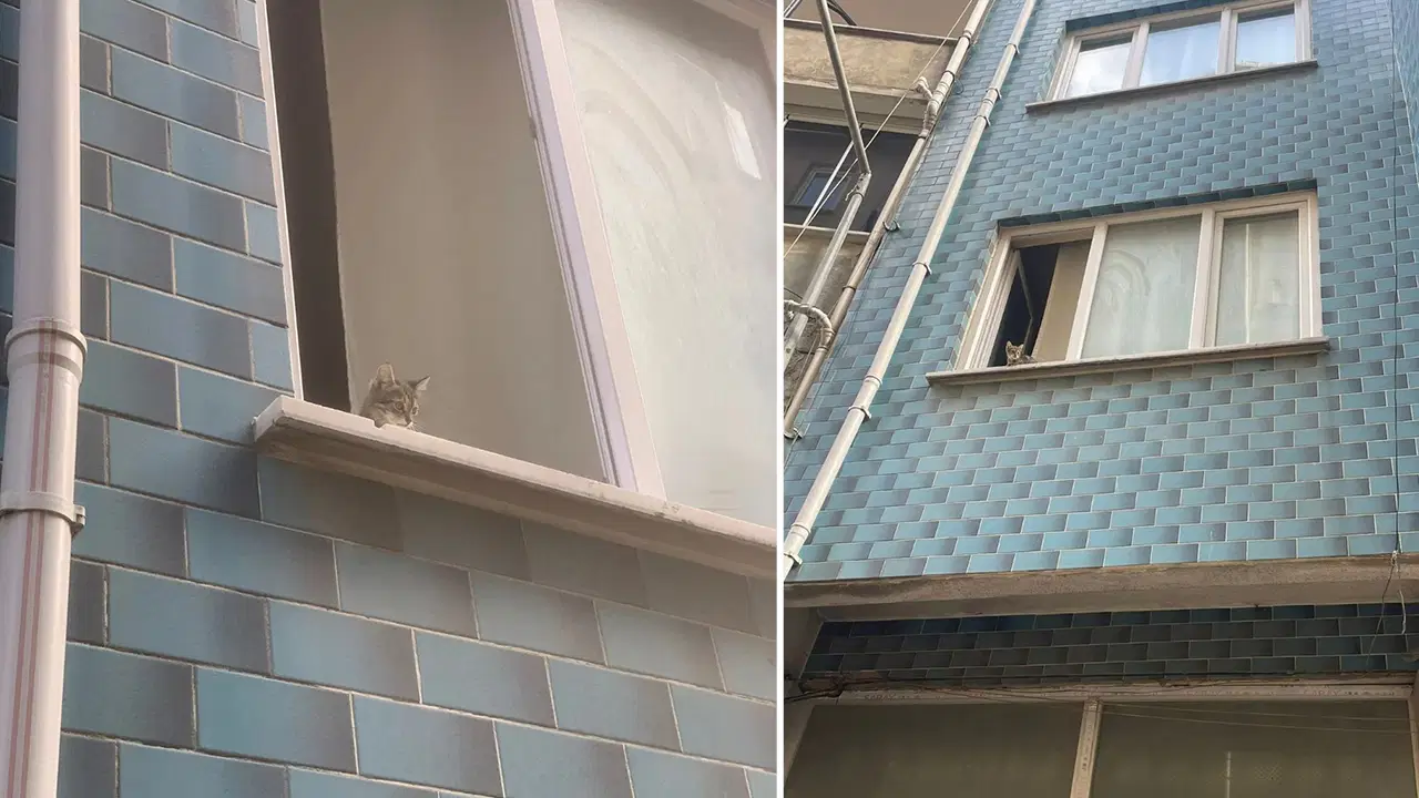 Çocukların dikkati yavru kediyi kurtardı: İtfaiye yardıma koştu