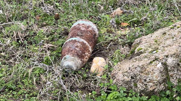 Mantar toplarken top mermisi buldular