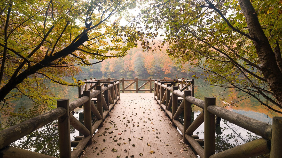 Rengârenk göller ve doğa: Yedigöller’de güz keyfi