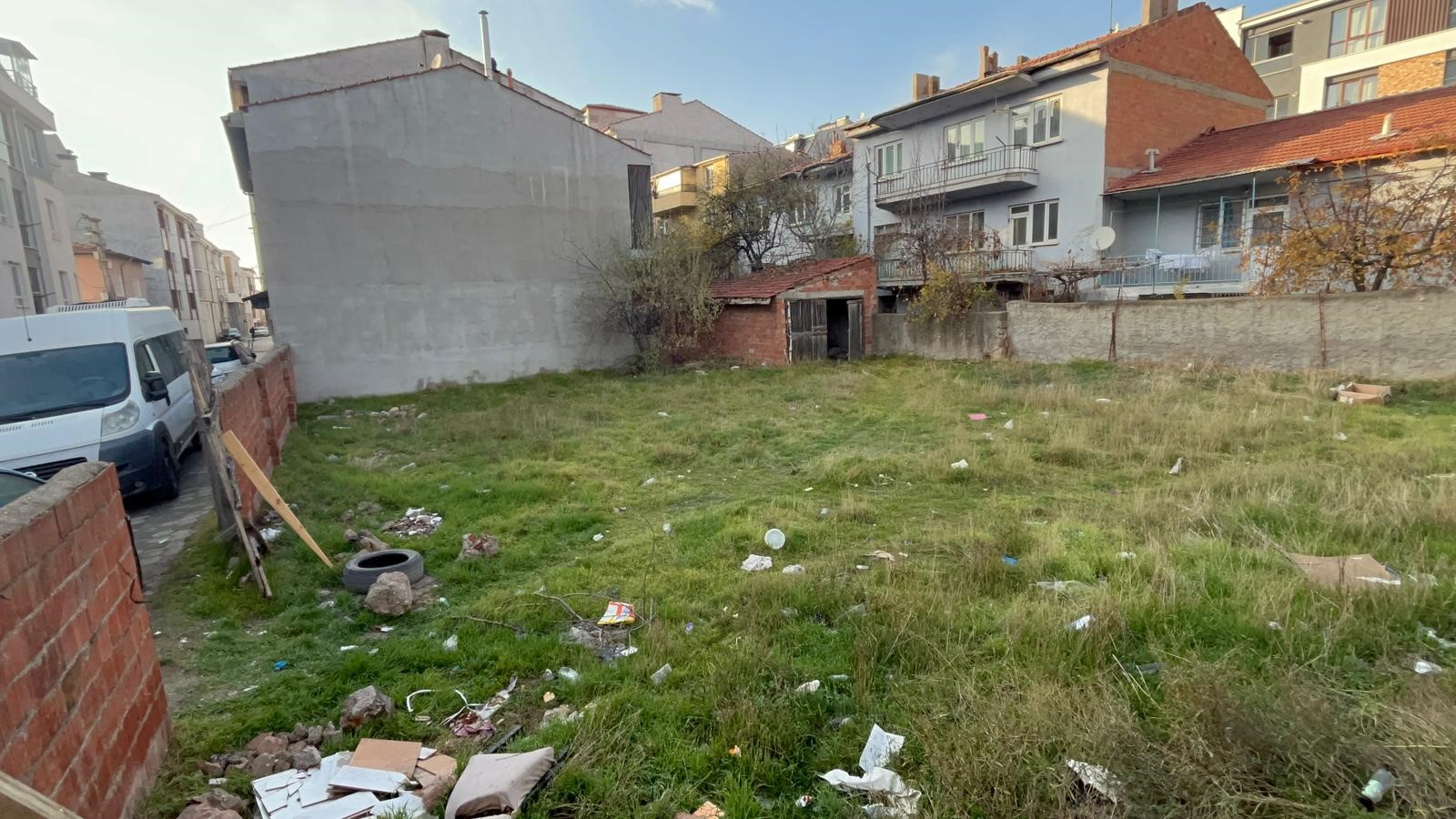 Amasya ve Eskişehir’de ölü köpek ve kediler bulundu