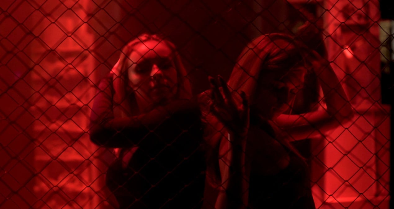 Fransa’yı karıştıran tasarı: ‘Genelevler yeniden açılsın’