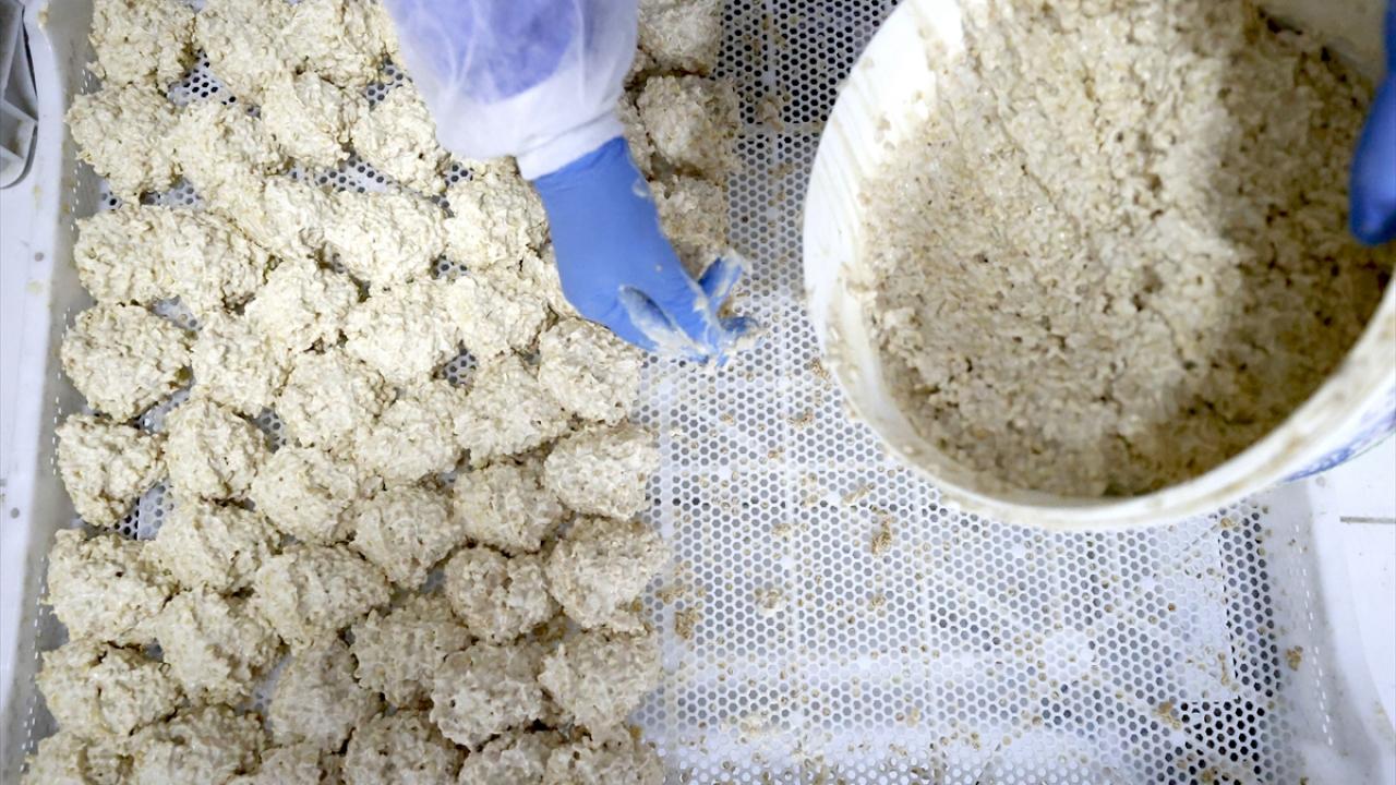 Osmanlı’dan gelen 81 yıllık sır! Bir sıkımı bir öğüne bedel…