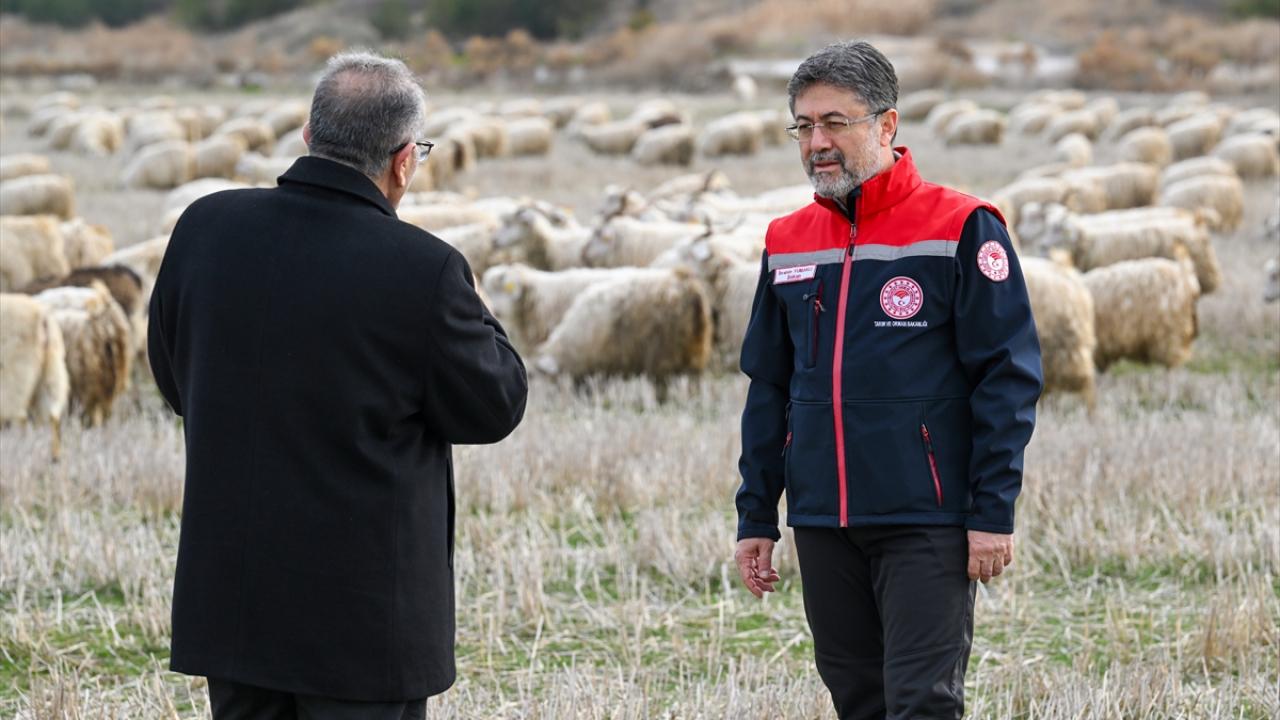 Tiftik için yeni dönem: Özel destek geliyor