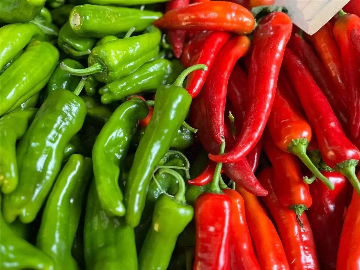 Biber İhracatı Zirveye Yerleşti