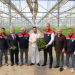 hidroponik-maydanoz-hasadi-basladi-7ZyJ7ly9