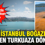 istanbul-bogazi-neden-turkuaza-dondu-arkasindaki-gercek-sasirtti-JLlJmYav