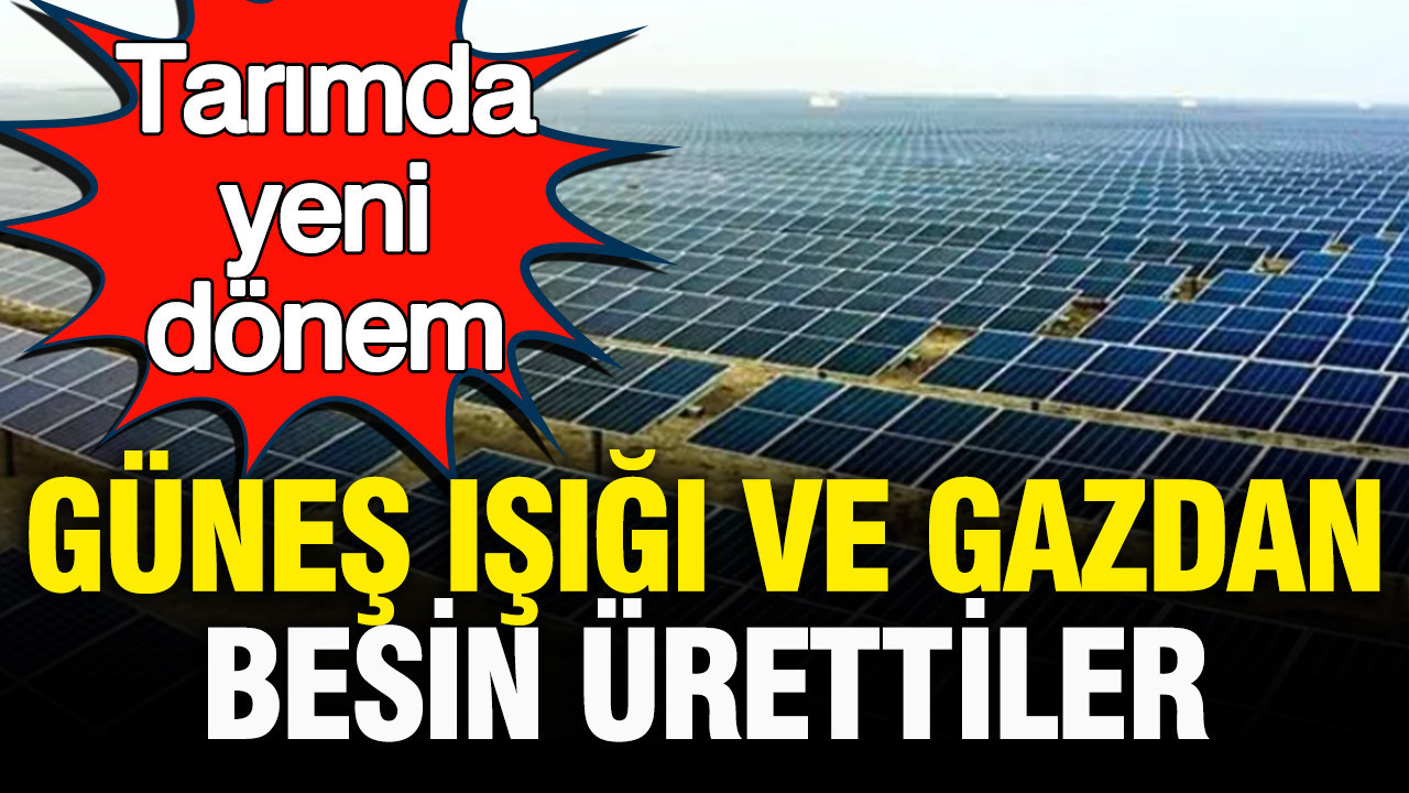 Almanyada gunes isigi ve gazdan besin urettiler tarimda yeni donem KcsQCWj7